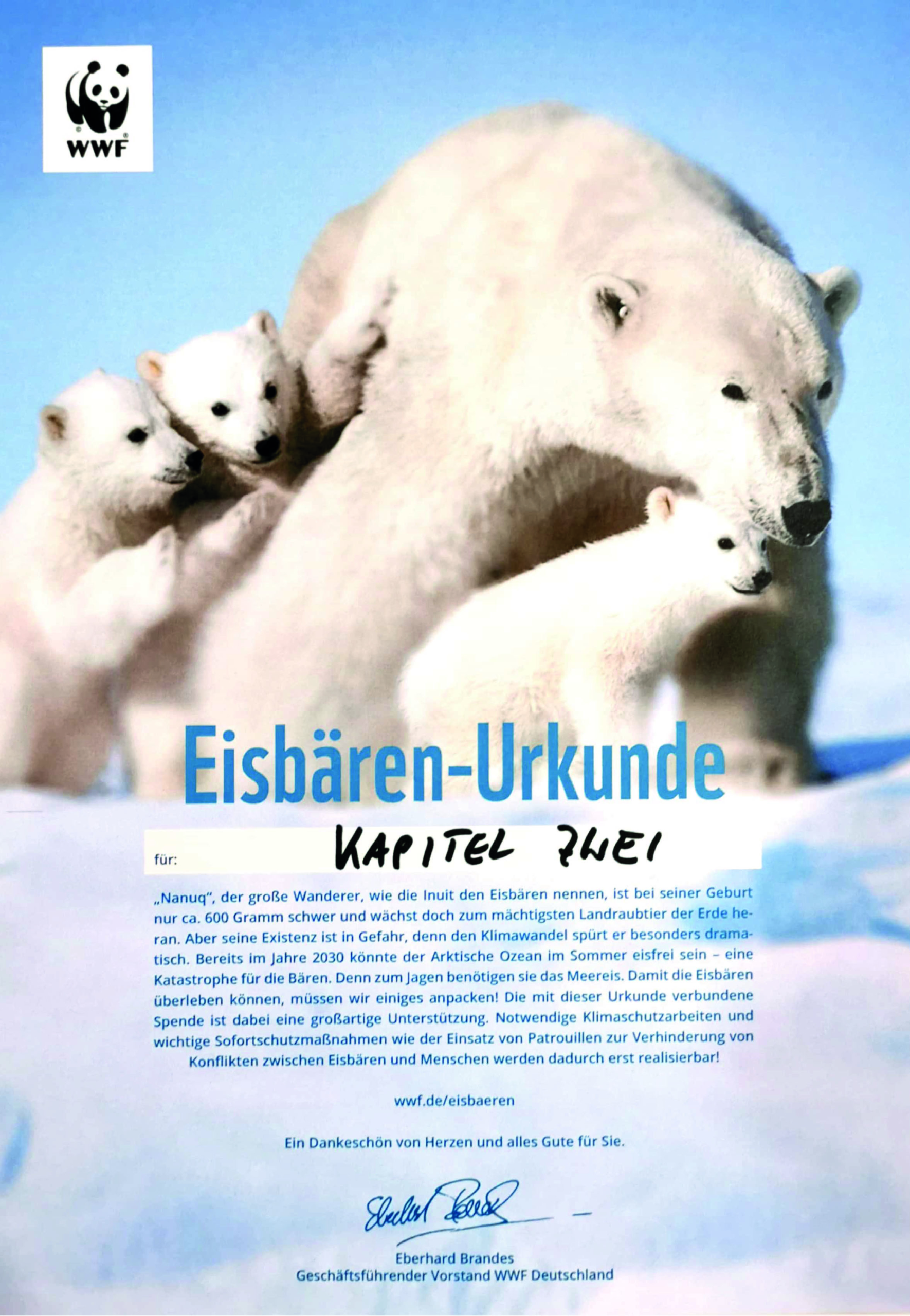 Eisbären Tierschutz Kapitel Zwei