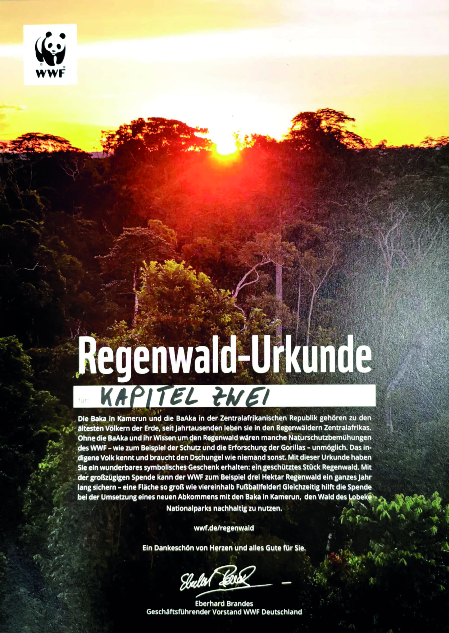 Klimaschutz Regenwald Kapitel Zwei