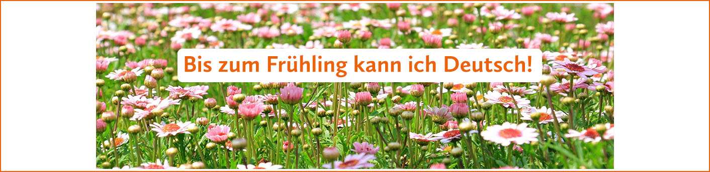 Kapitel Zwei Berlin Deutschkurse Deutschlernen